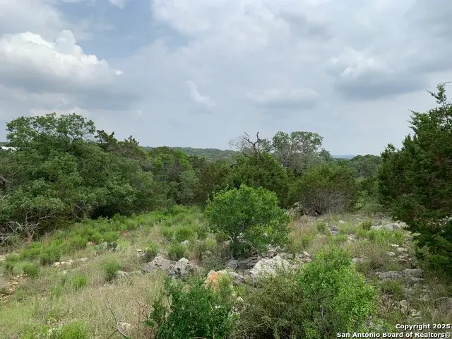 431 Cliffview Circle, Canyon Lake, TX 78133 - #2