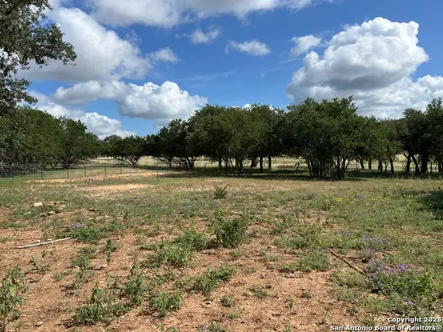 1619 Stringtown, Medina, TX 78055 - Image #3