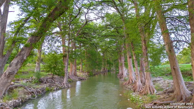 TRACT 5 46 Fm 1621, Comfort, TX 78013 - #2