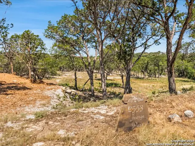 2553 George Pass, Canyon Lake, TX 78133 - #1