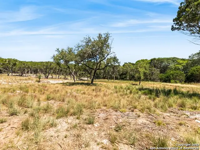 2553 George Pass, Canyon Lake, TX 78133 - #2