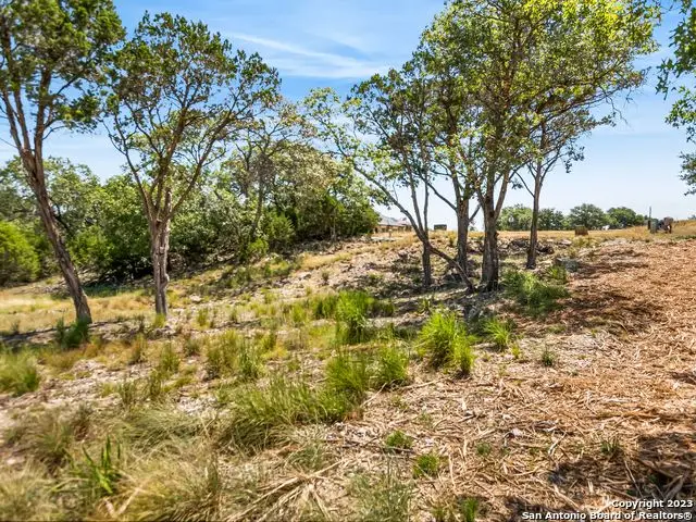 2553 George Pass, Canyon Lake, TX 78133 - #3