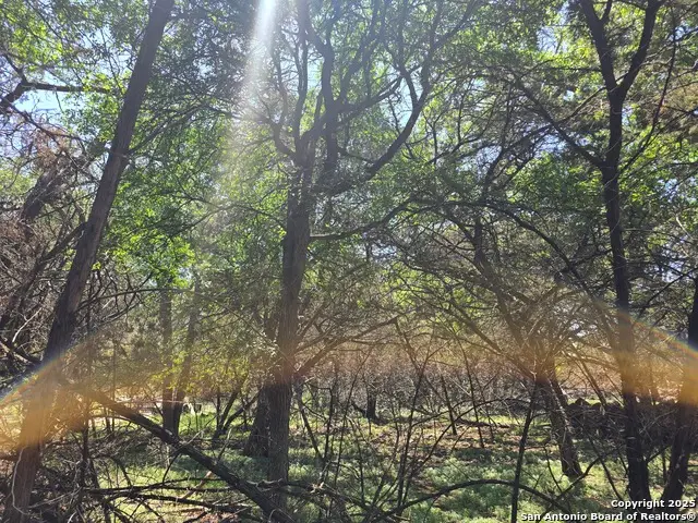 1548 Winding Creek Trail, Spring Branch, TX 78070 - #1