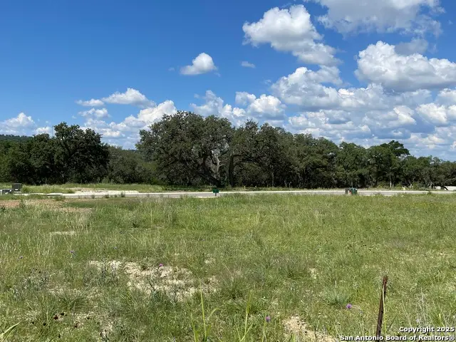 23634 Cliff Line, San Antonio, TX 78257 - Image #1