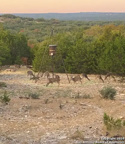 932 Shin Oak, Menard, TX 76859 - Image #1