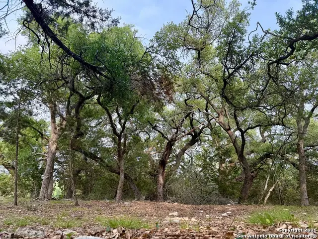 254 Flanders, Fischer, TX 78623 - #3