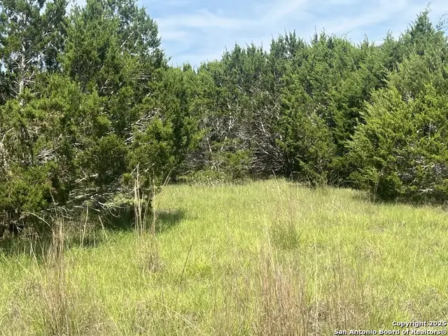 1809 Desiree, Canyon Lake, TX 78133 - #2