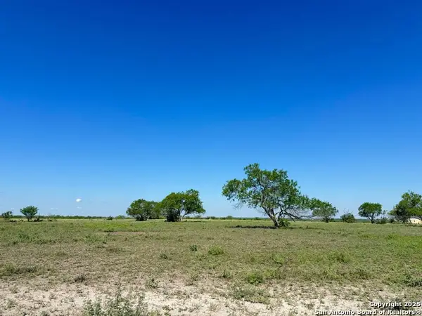 LOT 2 0 Cr 197, Falls City, TX 78113