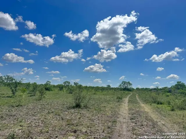 LOT 2 0 Cr 197, Falls City, TX 78113 - Image #3