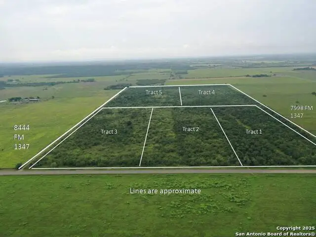 TRACT 4 Fm 1347, Stockdale, TX 78160 - Image #2