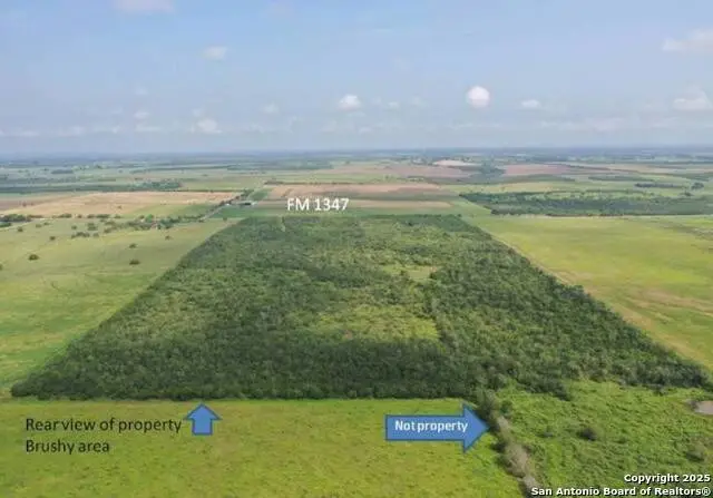 TRACT 4 Fm 1347, Stockdale, TX 78160 - Image #3
