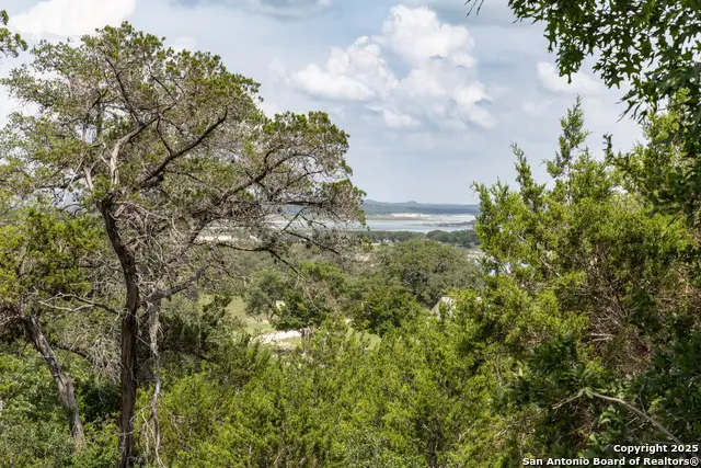 161 Puzzle Pass, Spring Branch, TX 78070 - Image #3