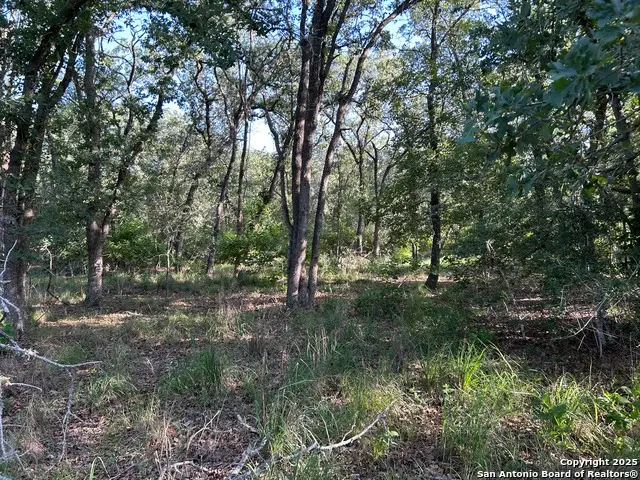 175 Smith, La Vernia, TX 78121 - Image #3
