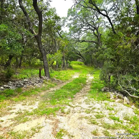 23015 S Breeze St, San Antonio, TX 78258 - Image #2