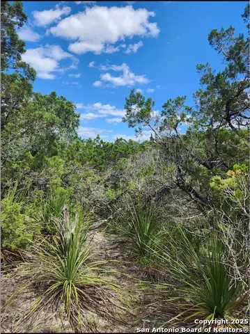 268 Scenic Hills, Canyon Lake, TX 78133 - #1