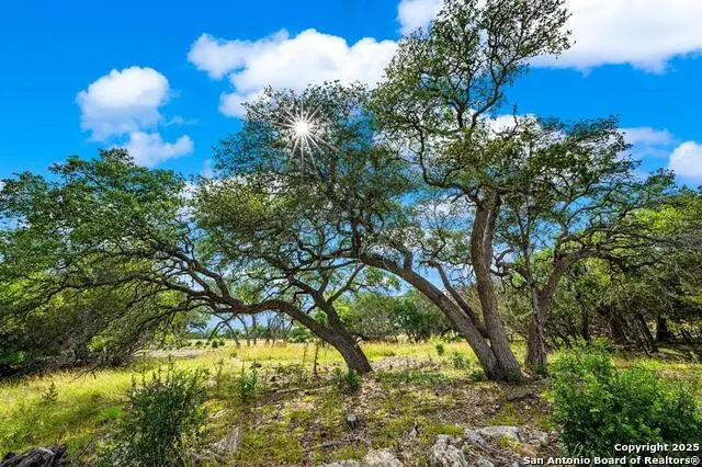 430 Cool Creek Rd, Center Point, TX 78010 - #2