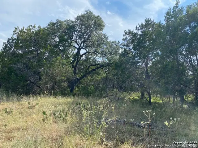 296 Recreation, Spring Branch, TX 78070 - #3