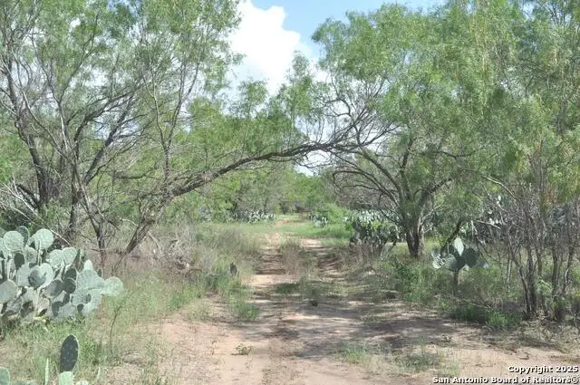 TBD Cr 662, Devine, TX 78016 - Image #2