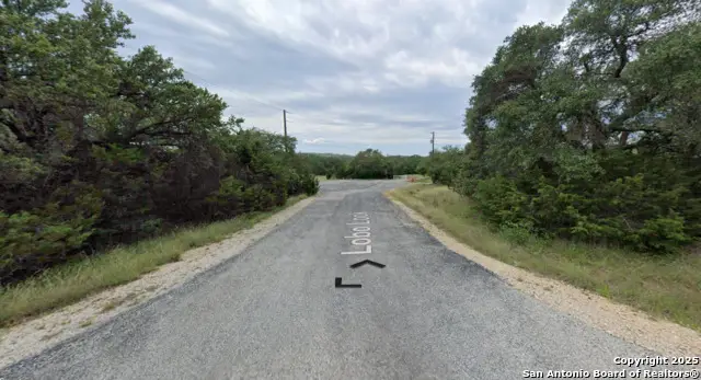 191 Lobo Look, Spring Branch, TX 78070 - #1