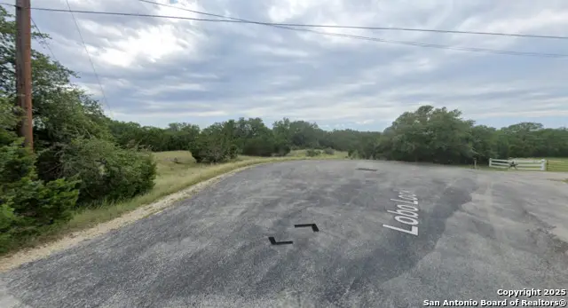 191 Lobo Look, Spring Branch, TX 78070 - #3