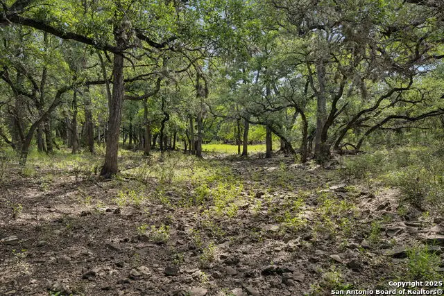 547 County Road 3401, Hondo, TX 78861 - Image #3