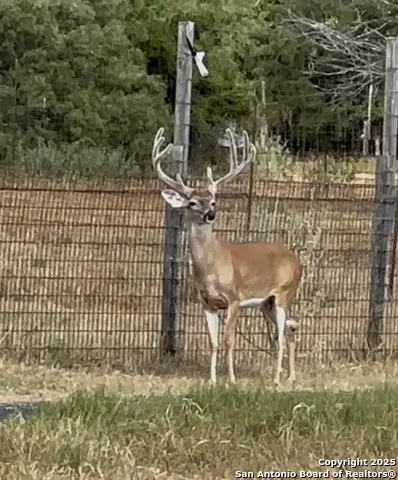 10745 Rosemar Ln, Adkins, TX 78101