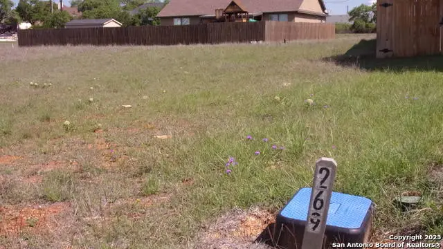 112 Hiram Cook, Blanco, TX 78606 - Image #3