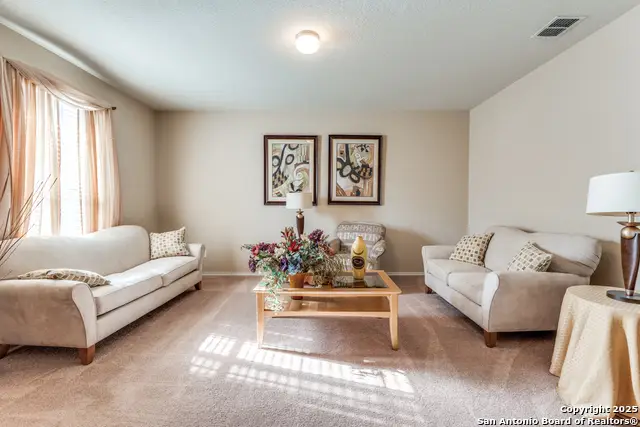 15923 Silver Rose, Selma, TX 78154 - Image #2