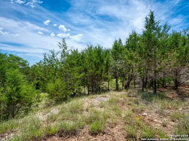 114 Oyster, Canyon Lake, TX 78133 - #3