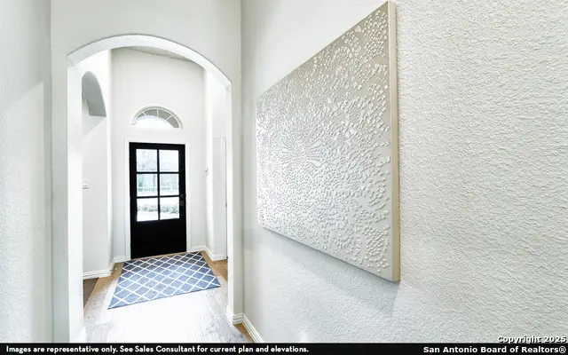 162 Ednie Ln, Castroville Lacoste, TX 78066 - Image #2