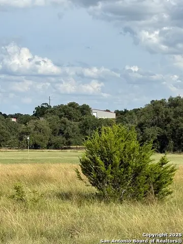 222 Peter Kleid, Blanco, TX 78606 - Image #3