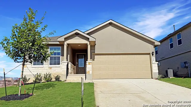 217 Squacco Heron, San Antonio, TX 78253 - #1