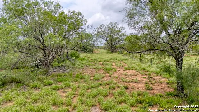 000 Cr 332 A, Jourdanton, TX 78026 - Image #1