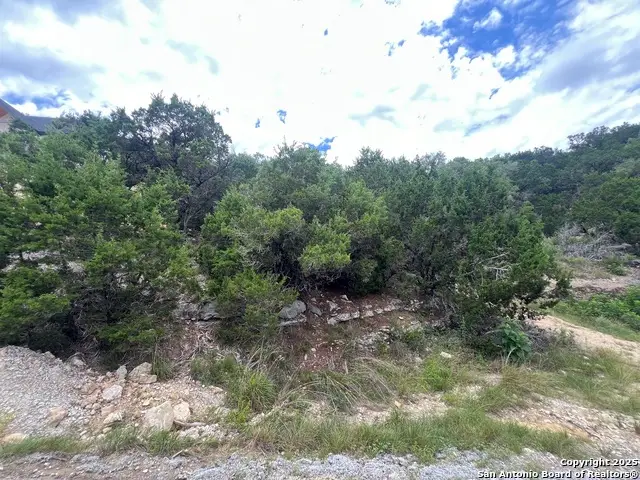 1597 Trail Pass, Canyon Lake, TX 78133 - #2