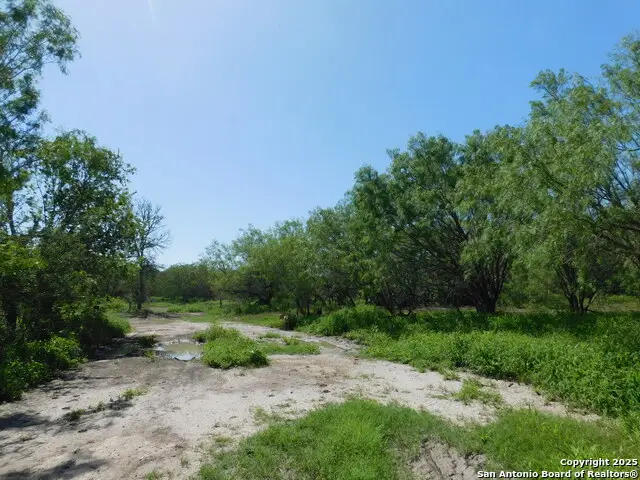 1590 Mccauley Rd, Floresville, TX 78114 - Image #3
