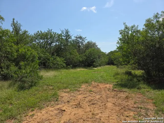 385 Marrou Rd., Seguin, TX 78155 - Image #3