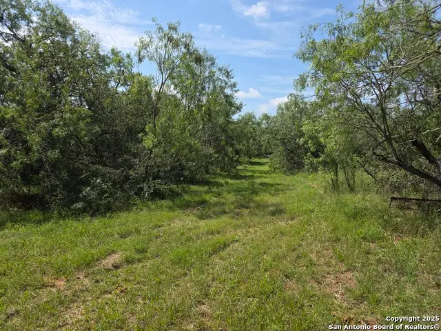 445 Marrou Rd., Seguin, TX 78155 - Image #3