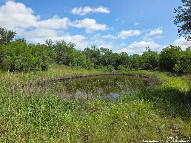 485 Marrou Rd., Seguin, TX 78155 - Image #3
