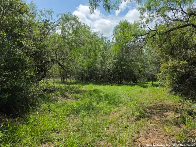 565 Marrou Rd., Seguin, TX 78155 - Image #3
