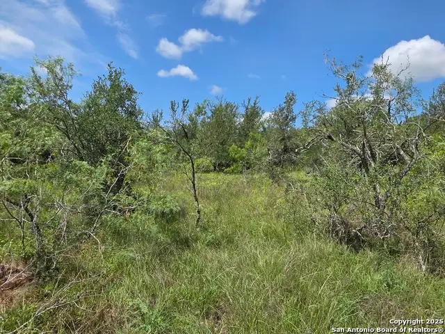 605 Marrou Rd., Seguin, TX 78155 - Image #3