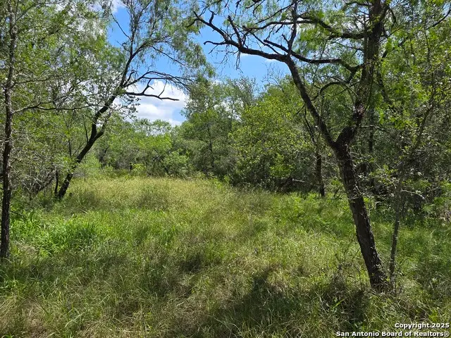 645 Marrou Rd., Seguin, TX 78155 - Image #3