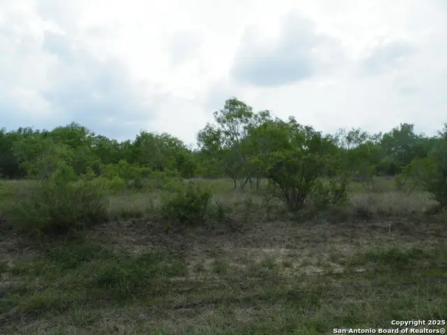 618 County Road 154, Pleasanton, TX 78064 - Image #3