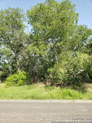 711 Novella, Adkins, TX 78101 - Image #2