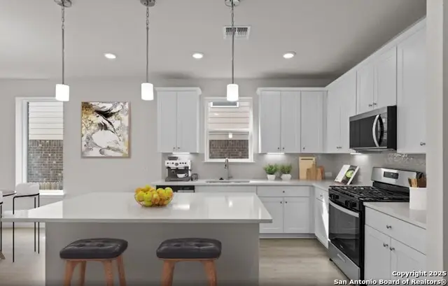 2520 Seabream Drive, San Antonio, TX 78253 - Image #2