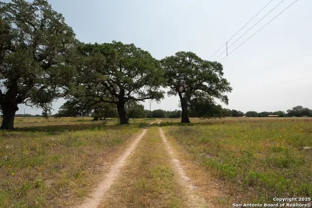 1003 County Road 334, Stockdale, TX 78160 - Image #1