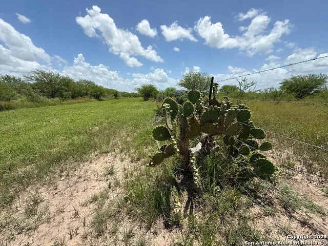 TBD 10+/- ACRES Cr 158, Kenedy, TX 78119 - Image #2