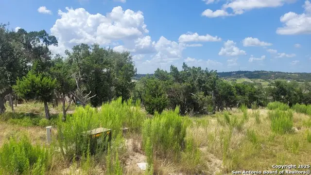 1466 Chianti, New Braunfels, TX 78132 - Image #2