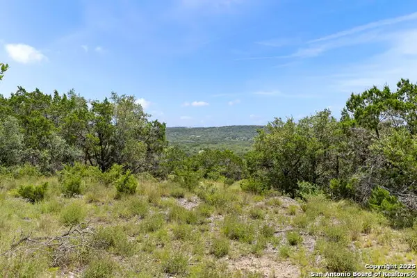 831 Lovett Ridge Rd, Bulverde, TX 78163