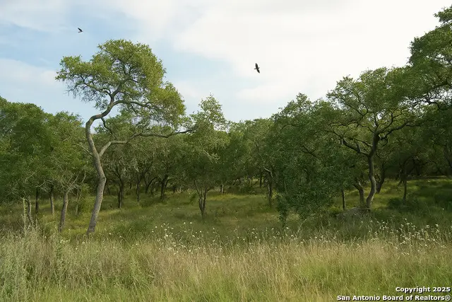 606 Lantana Mesa, Spring Branch, TX 78070 - Image #2