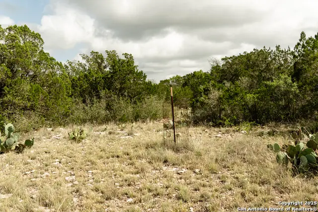 LOT 124 Leona Ranch Rd, Brackettville, TX 78832 - Image #3